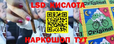 кокс Можга