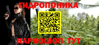 кокс Можга
