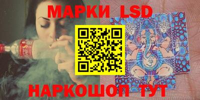 кокс Можга
