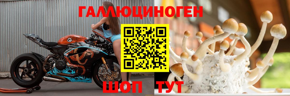 Ялуторовск  Псилоцибиновые грибы Magic Shrooms  Вход с VPN 