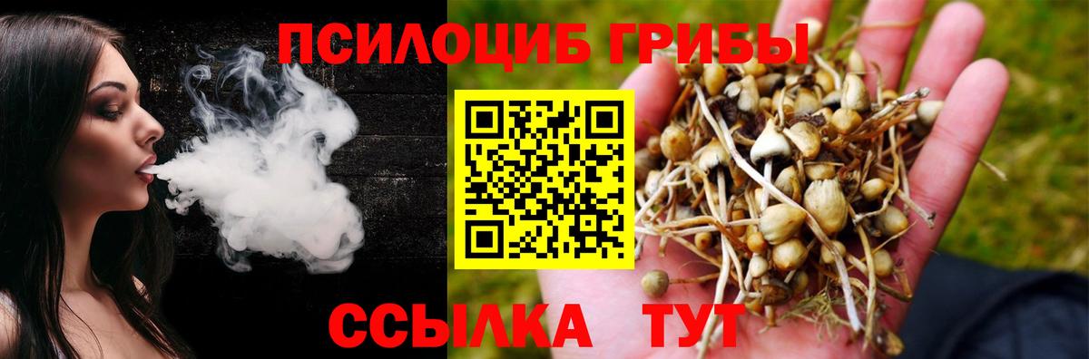 НБОМе Ялуторовск